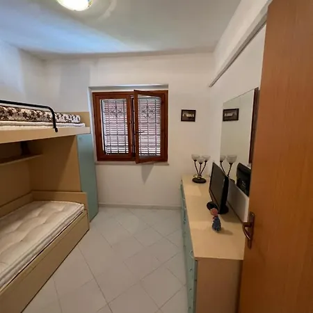 Camelia ساباوديا